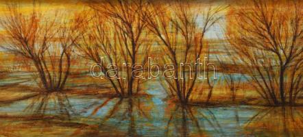 Fontos Sándor (1920-1991): Eső után. Vegyes technika, farost, jelzett, keretben, 25x70 cm