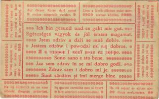 Ezen a levelezőlapon mást nem szabad közölni: Egészséges vagyok és jól érzem magamat / WWI Austro-Hungarian military postcard: "The only communicable thing is: I'm healthy and I am feeling good" (EB)