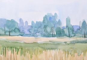 Lányi G. Csaba (-): Virágos táj, 2006. Akvarell, papír. Jelzett. Paszpartuban. 31x22 cm