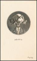 Vagyóczky Károly (1941-): Archimboldó lap. Rézkarc, papír, jelzett a karcon, 10,5×6,5 cm