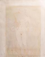 Jelzés nélkül: Női akt. Akvarell, tus, papír. Foltos. Lap alja vágott. 37x26cm