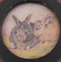 Rainerné Istvánffy Gabriella (1875-1964): Két nyuszi. Ceruza, papír. Jelzett. Üvegezett, dekoratív f...