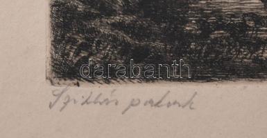 Paulovits Pál (1892-1975): Sziklás patak. Rézkarc, papír, jelzett, kartonra kasírozva, lapszéli elsz...