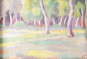 MT jelzéssel: Táj. Olaj, karton. Proveniencia: Saphier-gyűjtemény. Üvegezett, kissé sérült fakeretben. 15x21,5 cm