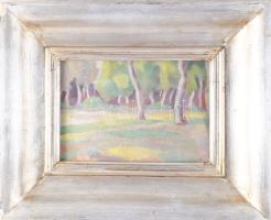 MT jelzéssel: Táj. Olaj, karton. Proveniencia: Saphier-gyűjtemény. Üvegezett, kissé sérült fakeretbe...