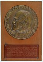 1971. "PROF ÁRVAY SÁNDOR 20 ÉVE VEZETI A DOTE. NŐI KLINIKÁJÁT 1971." egyoldalas bronz emlékplakett fa talapzaton (plakett:~138mm; talapzat:144x171mm) T:XF, talapzaton kis hibák