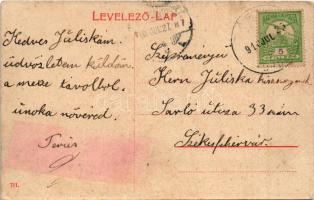 1910 Bártfa, Bártfafürdő, Bardejovské Kúpele, Bardiov, Bardejov; Park részlet, ásványfürdő. W.L. (?)...