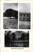 Romhány, Nagybátony-Újlaki Egyesült Iparművek rt. Lloyd Kerámiai gyára. Benkő Árpád kiadása (fl)