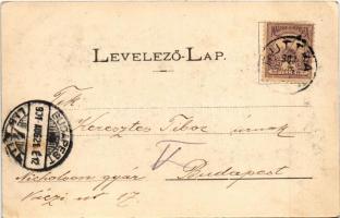 1901 Ruttka, Vrútky; Suttói vízesés. Sochán P. kiadása 114. sz. / waterfall (EK)