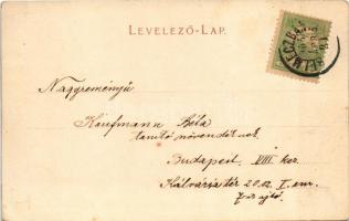 1905 Selmecbánya, Banská Stiavnica; Szitnyahegy. Joerges kiadása / Sitno mountain (EK)