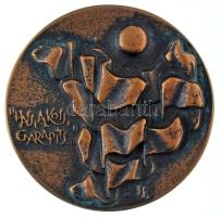 DN "Szolnok megyéért / "Hass, alkoss, gyarapíts" kétoldalas bronz emlékérem (90mm) T:AU patina
