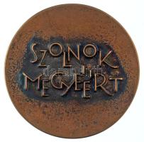 DN "Szolnok megyéért / "Hass, alkoss, gyarapíts" kétoldalas bronz emlékérem (90mm) T:...