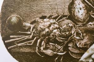 Kőnig Frigyes (1955-): Köretek. Litográfia, papír, jelzett, művészpéldány EA IX/XV számozással, 36x5...