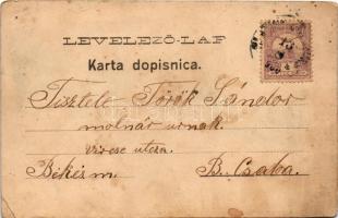 1900 Szalatnok, Szlatina, Podravska Slatina; Ottokar Rechnitzer's Lichtdruckanstalt, L. Bauer /...