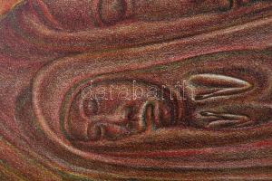 Gaál József (1960-): Szelídek némasága, 1990. Litográfia, papír. Jelzett, művészpéldány EA IX/XV szá...