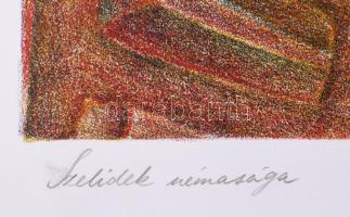 Gaál József (1960-): Szelídek némasága, 1990. Litográfia, papír. Jelzett, művészpéldány EA IX/XV szá...