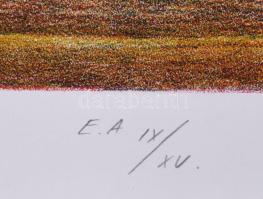 Gaál József (1960-): Szelídek némasága, 1990. Litográfia, papír. Jelzett, művészpéldány EA IX/XV szá...