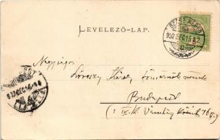 1902 Szászrégen, Magyarrégen, Reghin; madártávlat, látkép / general view (EK)