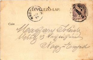 1900 Nagykikinda, Kikinda; Vodica-liget, Cséplés gőzgéppel / Wodicza-Hain, Drusch / spring source, s...