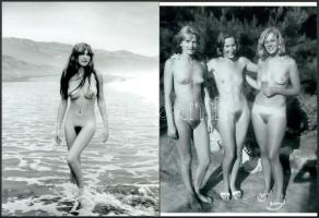 "Természet imádók", szolidan erotikus felvételek, 4 db modern nagyítás, jelzés nélkül, 15x...