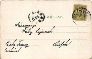 1903 Szászváros, Broos, Orastie; látkép. H. Graef kiadása / general view (EB)