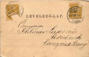 1900 Szászváros, Broos, Orastie; látkép. Graef H. kiadása / general view (szakadás / tear)