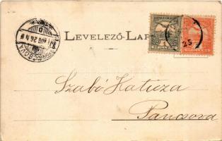 Titel, Fő utca, Vasútállomás, lagúnák, Tiszaparti részlet. Nonnenmacher Endre kiadása / Hauptgasse, ...