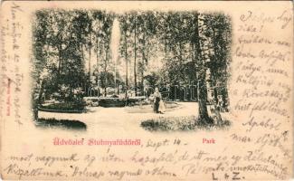 1900 Stubnyafürdő, Túróchévíz, Stubnianske Teplice, Turcianske Teplice; park. Kohn Ede kiadása / park (fl)