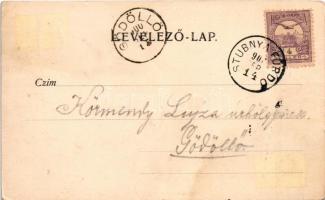 1900 Stubnyafürdő, Túróchévíz, Stubnianske Teplice, Turcianske Teplice; park. Kohn Ede kiadása / par...