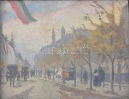 Vermes jelzéssel, XX. sz. eleje: Budapesti utca magyar lobogókkal. Olaj, karton. Dekoratív, üvegezett, sérült fakeretben. 24×32 cm