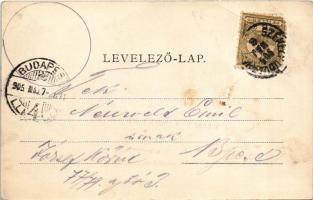 1905 Székelyudvarhely, Odorheiu Secuiesc; Magy. kir. állami főreáliskola. Haáb és Heitz kiadása / sc...