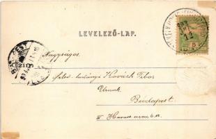 1903 Székelyudvarhely, Odorheiu Secuiesc; sóskerti melegfürdő, Solymossy féle jód-brómos sósfürdő, s...