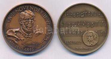 Képíró Zoltán (1944-1981) 1979. "MÉE Keszthely - X. Vándorgyűlés-Goldmark Károly" bronz ké...