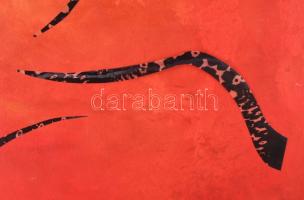 Borbély Zsolt (-): Capriccio No. 18. Olaj, kollázs, vászon, jelzett a hátoldalán, 70x100 cm