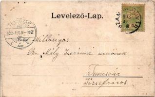 1902 Szamosújvár, Gherla; Népkerti tó részlet. Todorán Endre kiadása / park, lake (lyukak / pinholes...
