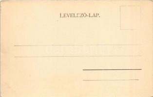 Szamosújvár, Gherla; Görögkatolikus papnövelde / Greek Catholic seminary (apró szakadás / tiny tear)