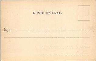 Erdőd, Károlyierdőd, Ardud (Szatmár); Erdődvár, Rákóczi vár, Petőfi torony. Löwy Miksa kiadása / cas...