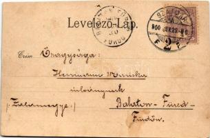 1900 Szatmárnémeti, Szatmár, Satu Mare; Püspöki palota, Igazságügyi palota, Irgalmasok rendháza, zár...