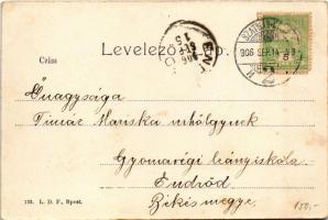 1906 Szatmárnémeti, Szatmár, Satu Mare; Deák tér nyugati része, üzletek, piac. Hollósi felvétele / s...