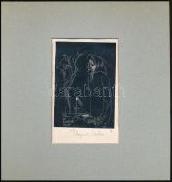 Plugor Sándor (1940-1999): Ex libris Dr. Demeter Jenő. Linómetszet, papír, jelzett. Néhány kevés apr...