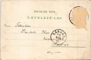 1898 Sopron, Ödenburg; Domonkos templom, Várkerület, Széchenyi István szobor, Szőlős hölgy. Regel &a...