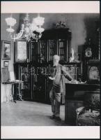 cca 1900 Jókai Mór (1825-1904) író, 1 db modern nagyítás, jelzés nélkül, 21x15 cm