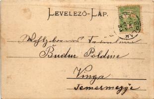 1902 Stájerlak, Steierlak, Stájerlakanina, Steierdorf, Anina; Klein villa. Keményhátú fotó képeslap ...