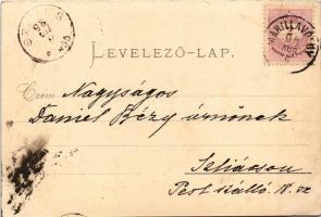 1898 Stájerlak, Steierlak, Stájerlakanina, Steierdorf, Anina; Üdvözlet a nyaralóból! / villa. photo