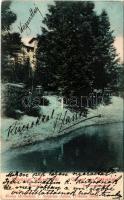 1904 Stájerlak, Steierlak, Stájerlakanina, Steierdorf, Anina; Nyaraló. Hollschütz F. kiadása / Sommerfrische / villa (EK)