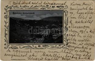 1904 Stájerlak, Steierlak, Stájerlakanina, Steierdorf, Anina; Látkép. Hollschütz kiadása, egyedi készítésű ragasztott fotó képeslap / general view. Floral, photo (szakadás / tear)