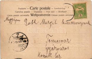 1904 Stájerlak, Steierlak, Stájerlakanina, Steierdorf, Anina; Látkép. Hollschütz kiadása, egyedi kés...