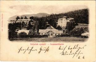 1901 Stájerlak, Steierlak, Stájerlakanina, Steierdorf, Anina; Nyaraló. Hollschütz F. kiadása / Sommerfrische / villa (Rb)