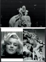 Marilyn Monroe (korábban Norma Jeane) (1926-1962) amerikai színésznőről és fotómodellről készült felvételek, 3 db modern nagyítás, jelzés nélkül, 15x21 cm és 15x10 cm