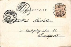 1899 Szeged, Tisza-part. Várnay L. kiadása (kis szakadások / small tears)